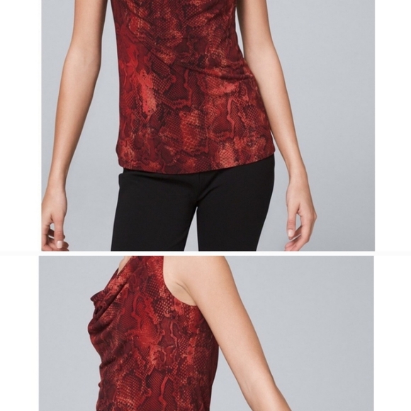 White House Black Market | Python-Print Top - Picture 14 of 16